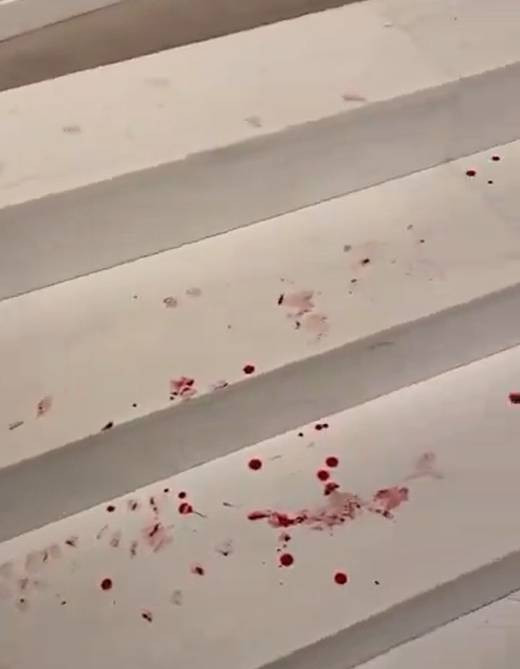 Alpay Özalan'ın Ahmet Şık'a saldırıp kaçmasının yakın görüntüleri ortaya çıktı - Resim: 9